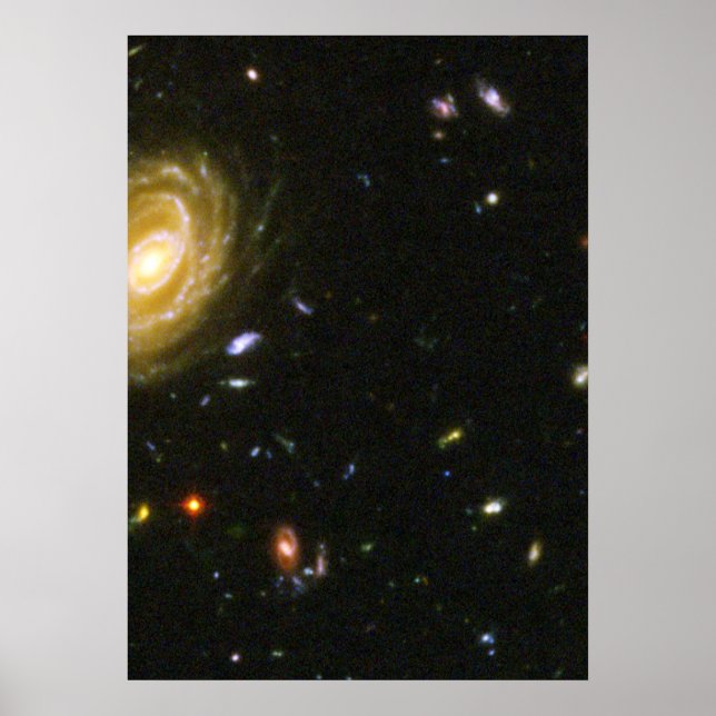 Póster Galáxia Espiral no Campo Ultra Profundo do Hubble (Frente)