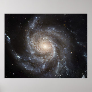 Póster Galáxia M101