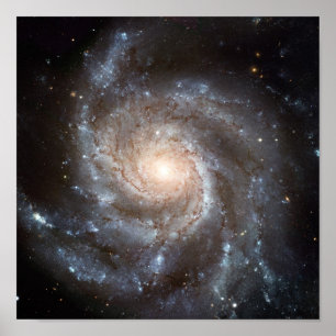 Póster Galáxia M101