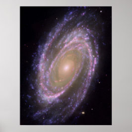 Poster Galáxia M81