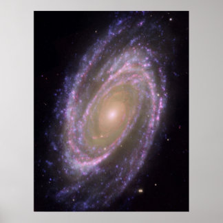 Poster Galáxia M81