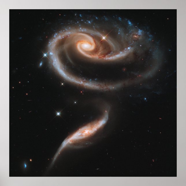 Póster Galáxias Espirais em Forma de Rosa (Frente)