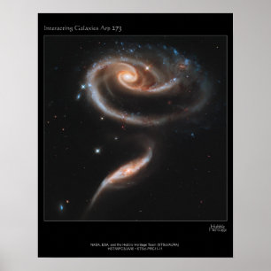 Póster Galaxy Rose