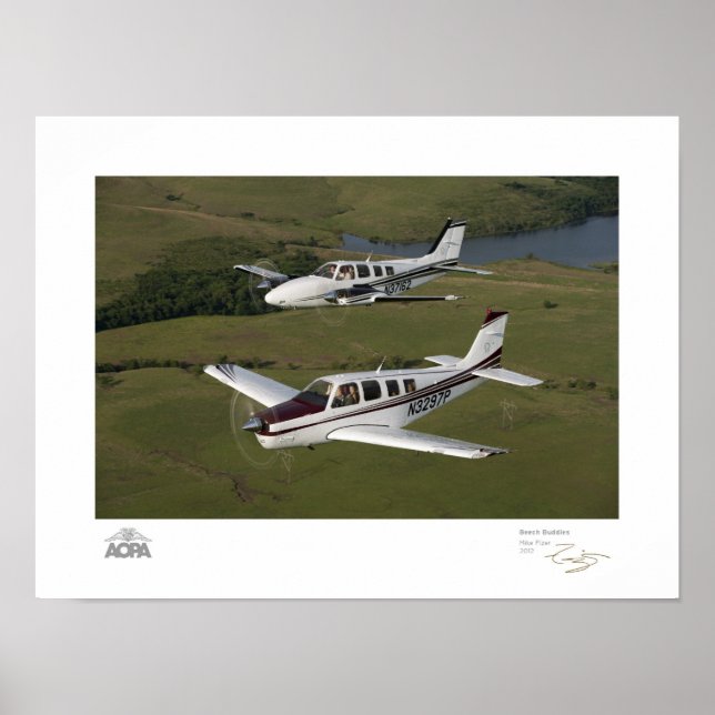 Poster Galeria Beech Buddies (Frente)