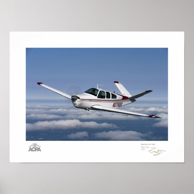 Póster Galeria V Tail de Smitty (Frente)