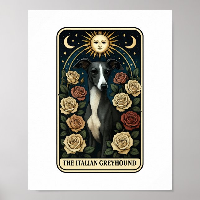 Poster Galgo Italiano (Frente)
