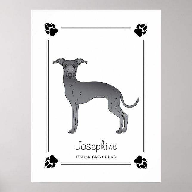 Poster Galgo Italiano Azul Com Patas E Texto Personalizad (Frente)