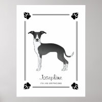 Galgo Italiano Preto E Branco Com Patas & Texto