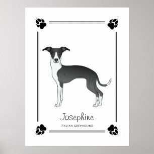 Poster Galgo Italiano Preto E Branco Com Patas & Texto