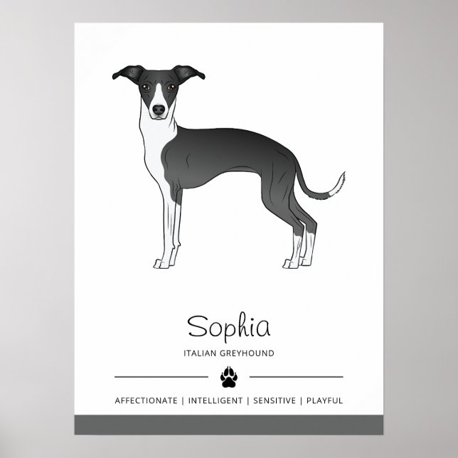 Poster Galgo Italiano Preto E Branco Com Texto Personaliz (Frente)