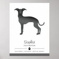 Galgo Italiano Preto Fofo Com Texto Personalizado