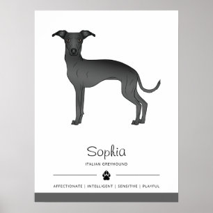 Poster Galgo Italiano Preto Fofo Com Texto Personalizado
