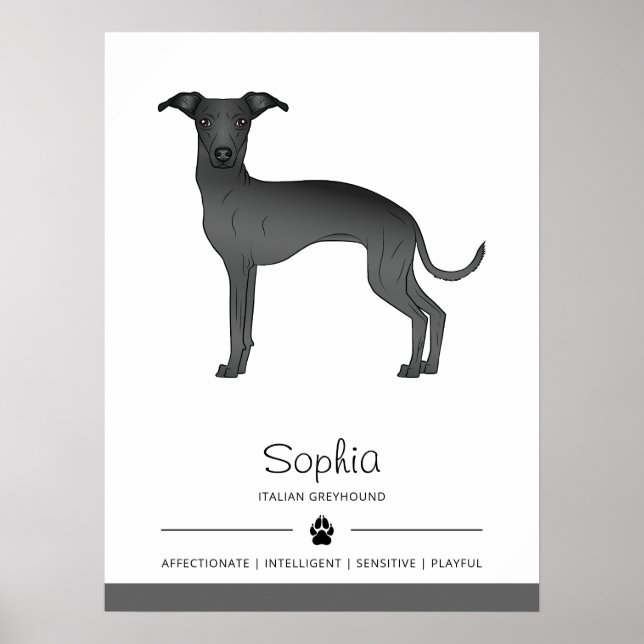 Poster Galgo Italiano Preto Fofo Com Texto Personalizado (Frente)