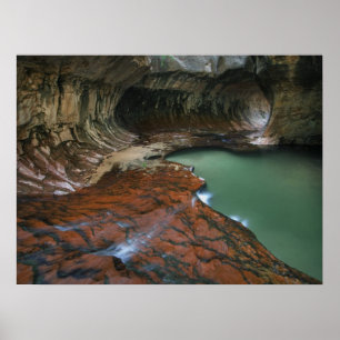 Poster Galho Esquerdo Parque Nacional de Zion, Utah