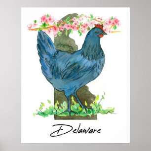 Poster Galinha Blue Hen Forma do Estado de Delaware