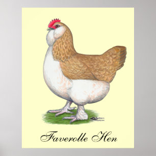Poster Galinha de Faverolle