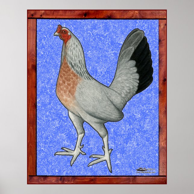 Poster Galinha de Jogo Emoldurada (Frente)