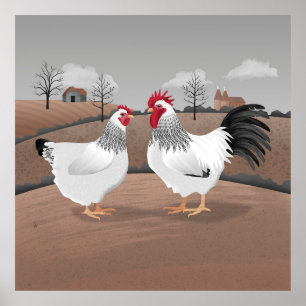 Poster Galinha & Galo