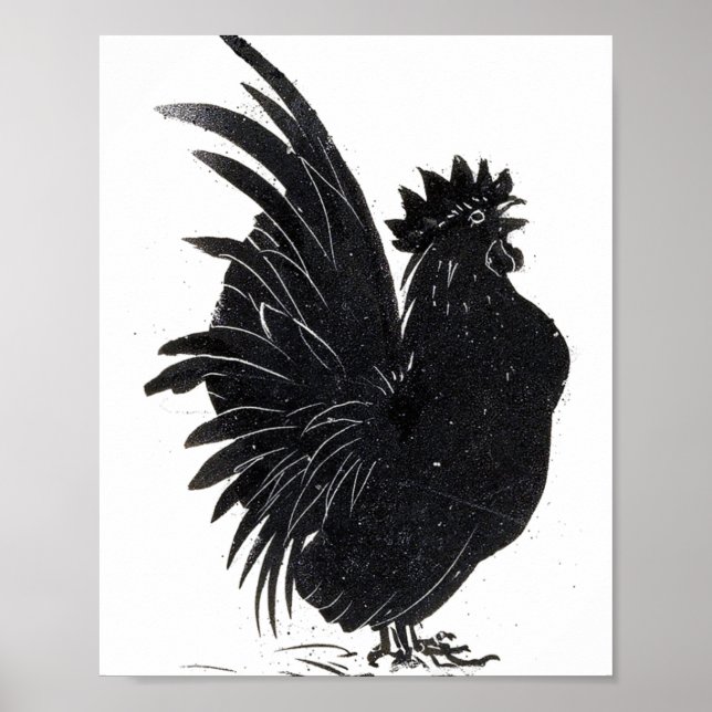 Poster Galinha Preta Engraçada Vintage  (Frente)
