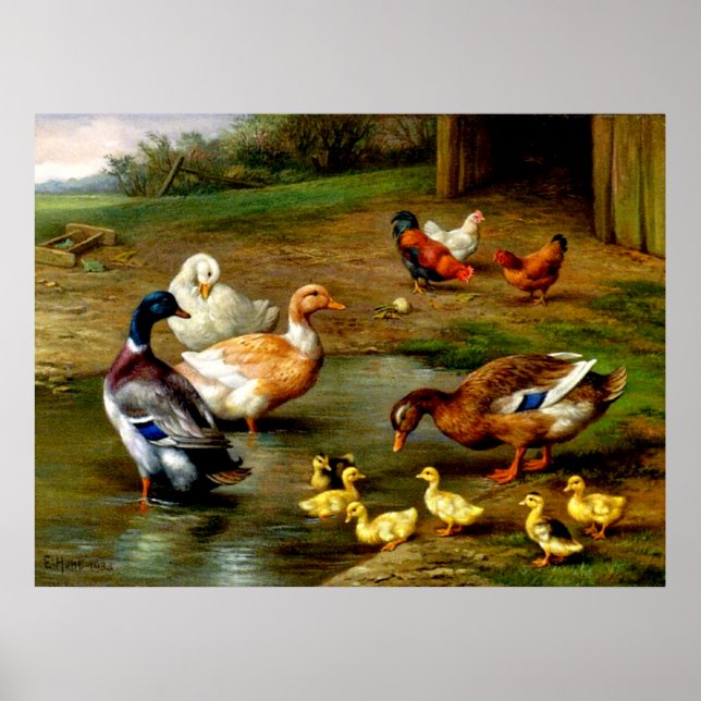 Poster Galinhas, Patos E Patos Na Fazenda (Frente)