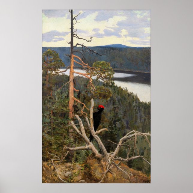 Poster Gallen-Kallela - Pica-Pau Negro Excelente 1894 (Frente)