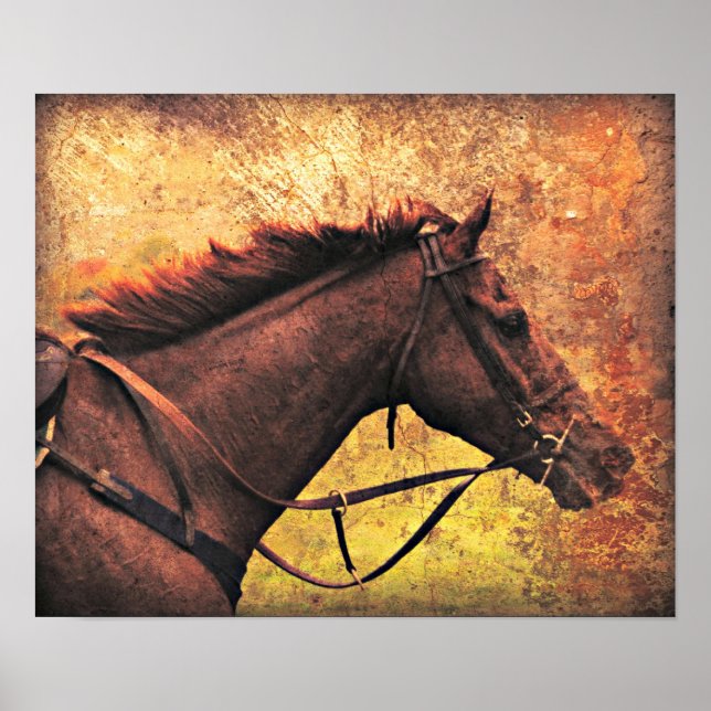 Póster Gallop Afway (Frente)