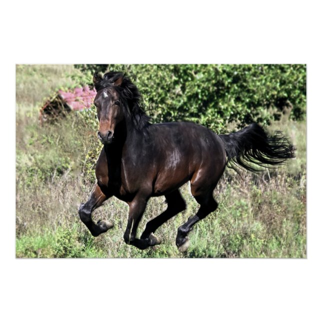 Póster Galloping Chestnut Horse (Frente)