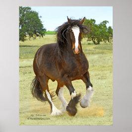 Póster Galloping Shire
