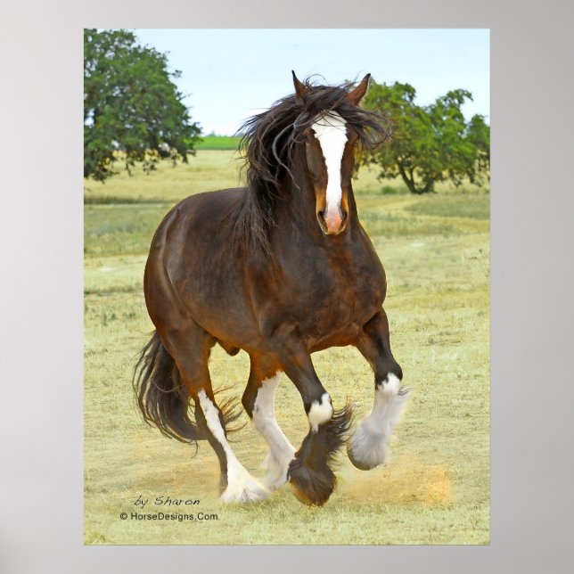 Póster Galloping Shire (Frente)