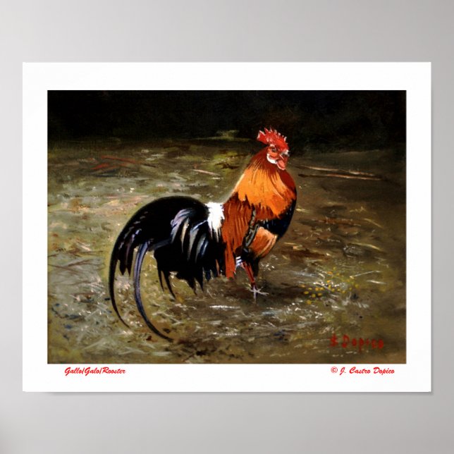 Poster Galo (Frente)