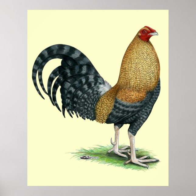 Póster Galo de briga: Dom ou Crele (Frente)