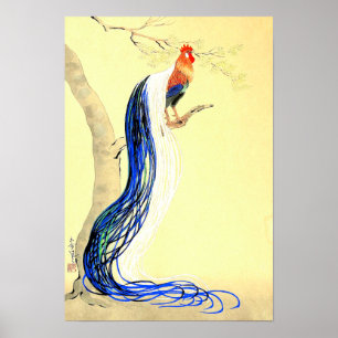 Poster Galo de Pena Longa Ono Bakufu Década de 1950