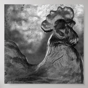 Póster Galo de Vidro