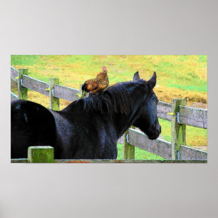 Póster Galo e égua