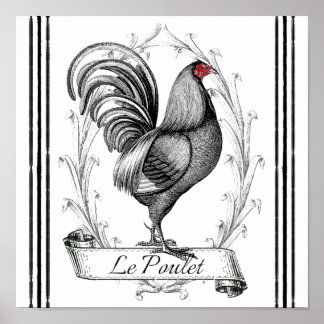 Póster Galo Francês Le Poulet