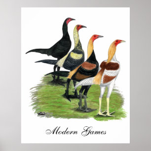 Póster Galos modernos do jogo