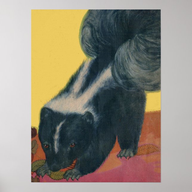 Poster gambá (Frente)