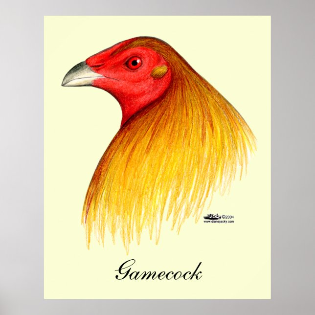 Póster Gamecock Apelidado (Frente)