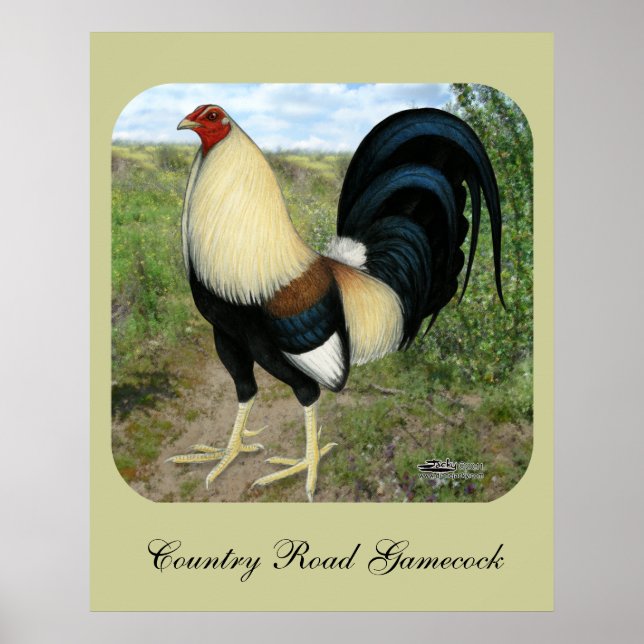 Póster Gamecock da estrada country (Frente)