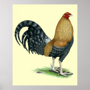 Póster Gamecock: Dom ou Crele