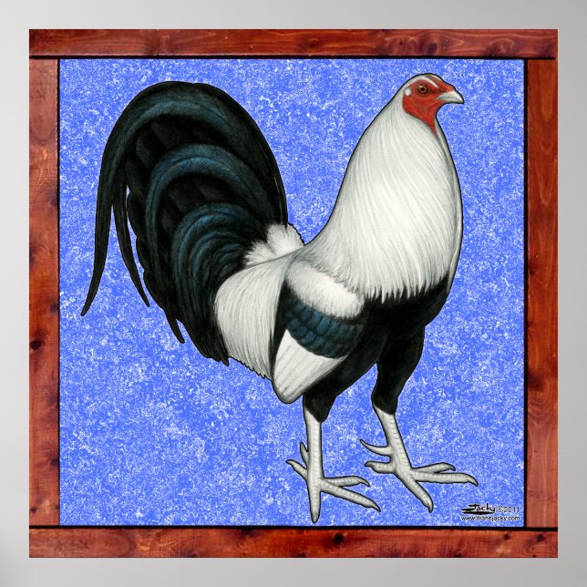 Poster Gamecock enquadrado (Frente)