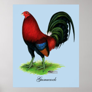 Poster Gamecock:  Escuro - vermelho