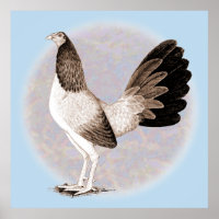 Gamecock: Hennie
