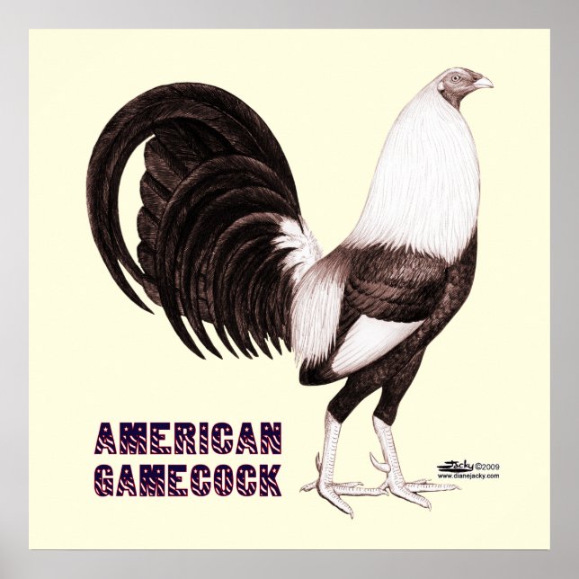 Poster Gamecock Sepia (Frente)