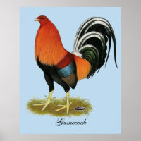 Gamecock Wheaten Rooster