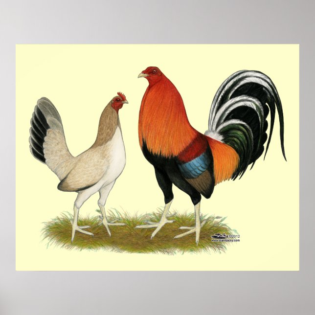 Poster Gamefowl Wheatens (Frente)