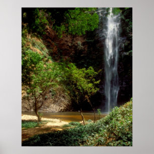 Póster Gana: Cachoeira Wli, também conhecida como Cachoei