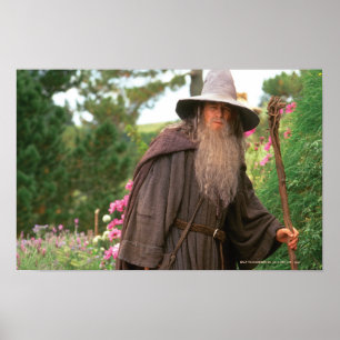 Poster GANDALF™ com chapéu