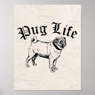 Póster Gângster engraçado do cão da vida do Pug
