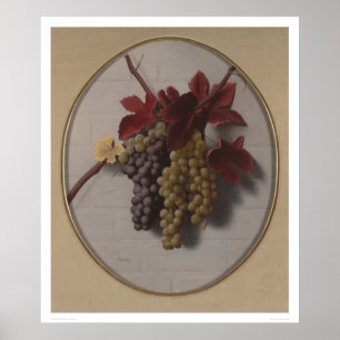 Póster Ganhos das uvas (1363)
